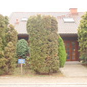 Wohnhaus mit Holzfassade. Am Gehweg links 2 hohe Strächer, daneben rechts schmaler Durchang  zur Haustür. Neben der Tür rechts Strauch.